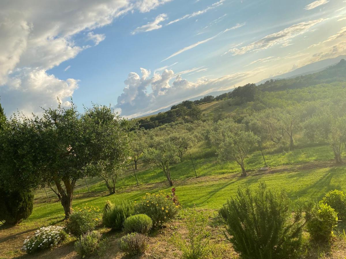 Agriturismo Palazzo Val Del Sasso Villastrada  Luaran gambar